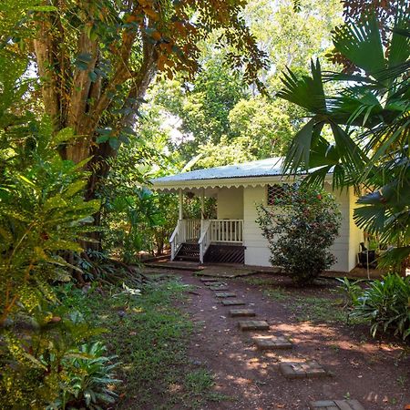Playa Grande Lodge & Tree House كويتا المظهر الخارجي الصورة