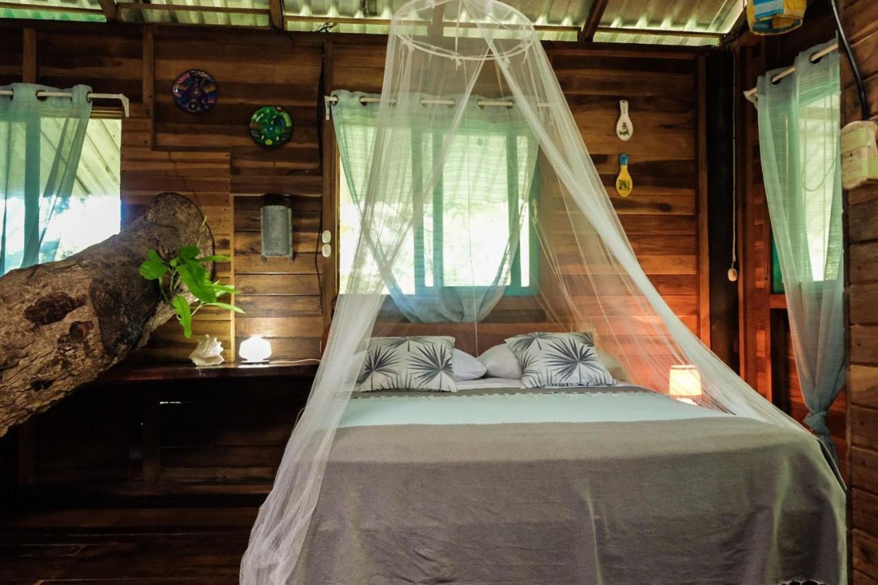 Playa Grande Lodge & Tree House كويتا المظهر الخارجي الصورة