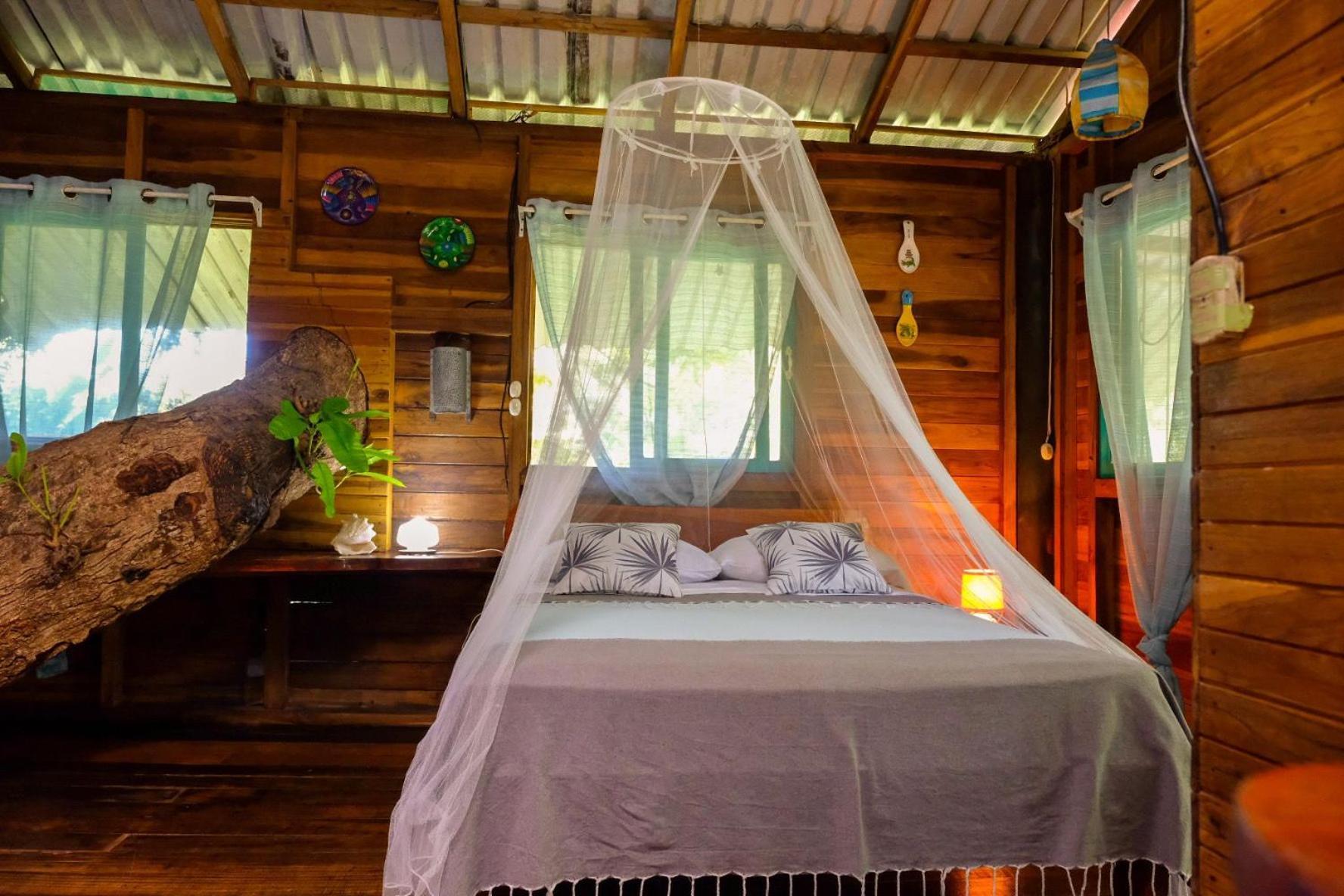 Playa Grande Lodge & Tree House كويتا المظهر الخارجي الصورة