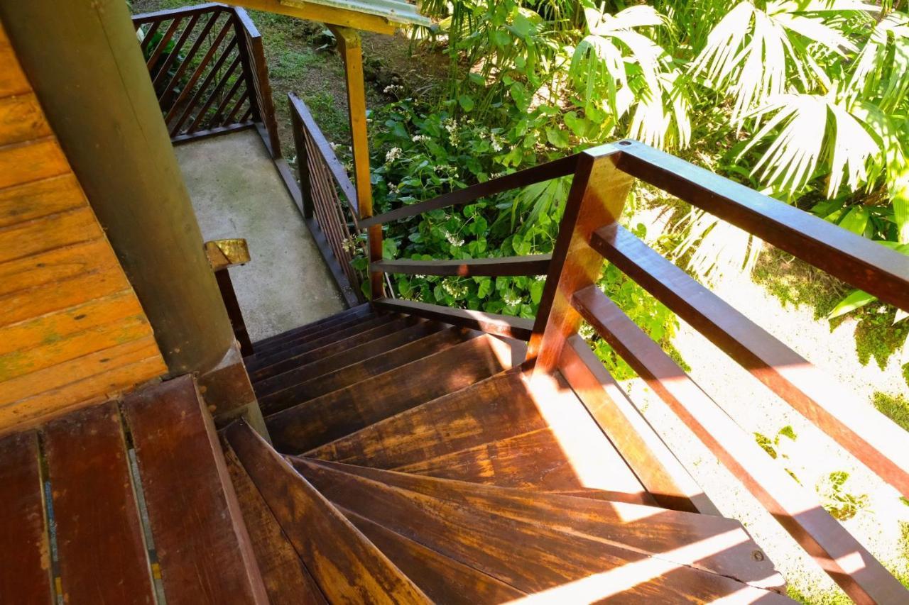 Playa Grande Lodge & Tree House كويتا المظهر الخارجي الصورة