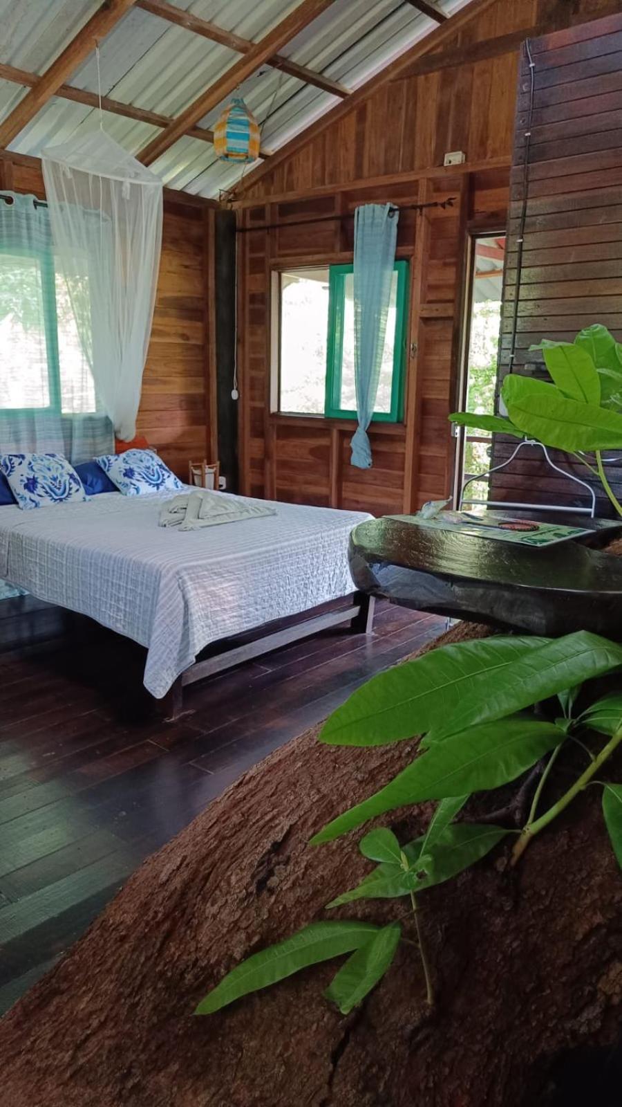 Playa Grande Lodge & Tree House كويتا المظهر الخارجي الصورة