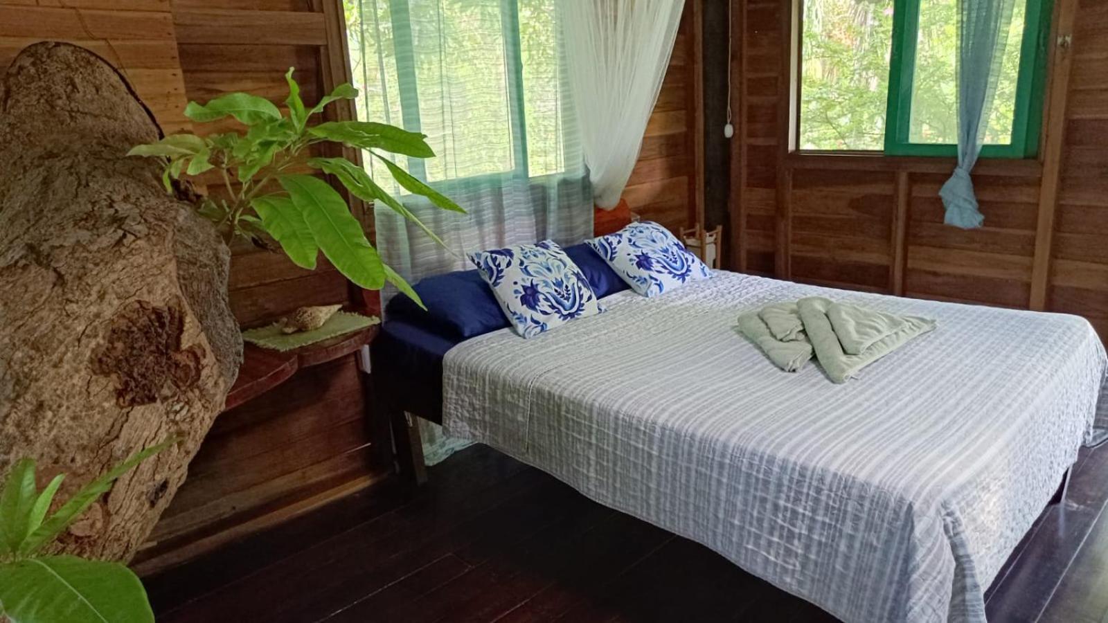Playa Grande Lodge & Tree House كويتا المظهر الخارجي الصورة