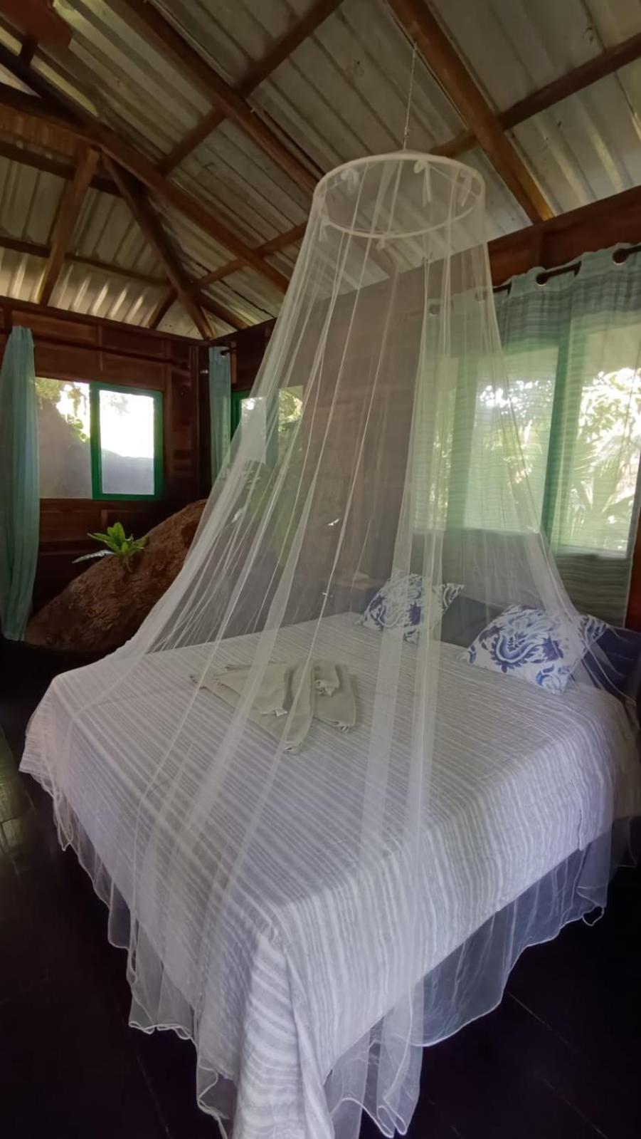 Playa Grande Lodge & Tree House كويتا المظهر الخارجي الصورة