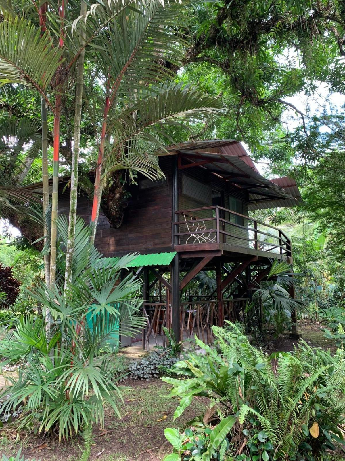 Playa Grande Lodge & Tree House كويتا المظهر الخارجي الصورة