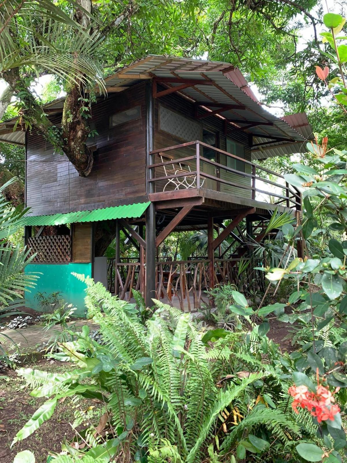Playa Grande Lodge & Tree House كويتا المظهر الخارجي الصورة