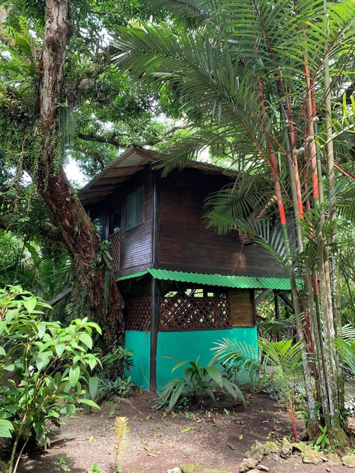 Playa Grande Lodge & Tree House كويتا المظهر الخارجي الصورة