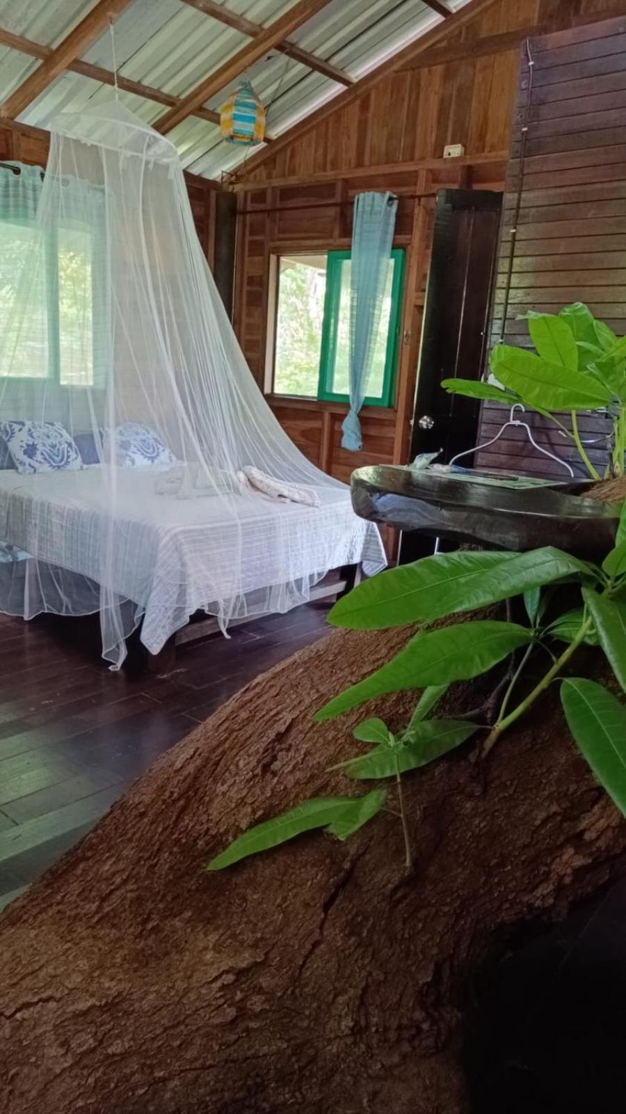 Playa Grande Lodge & Tree House كويتا المظهر الخارجي الصورة