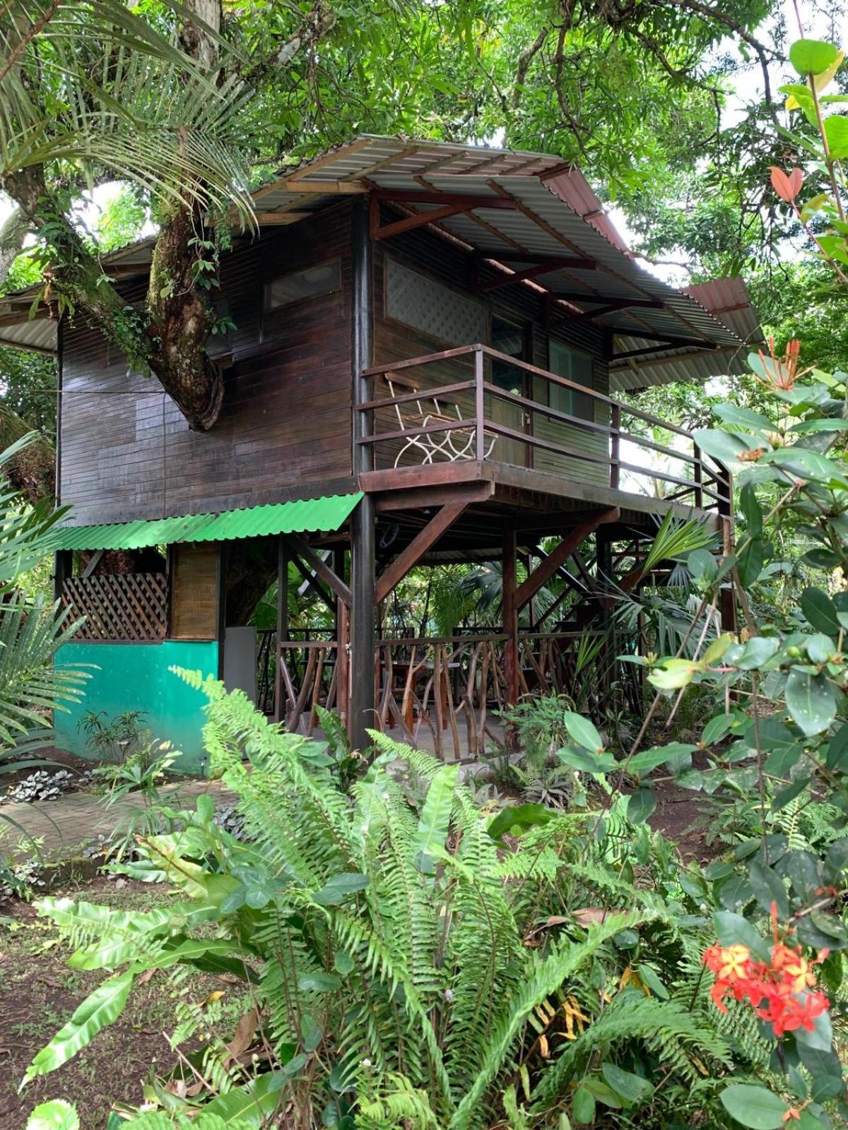 Playa Grande Lodge & Tree House كويتا المظهر الخارجي الصورة
