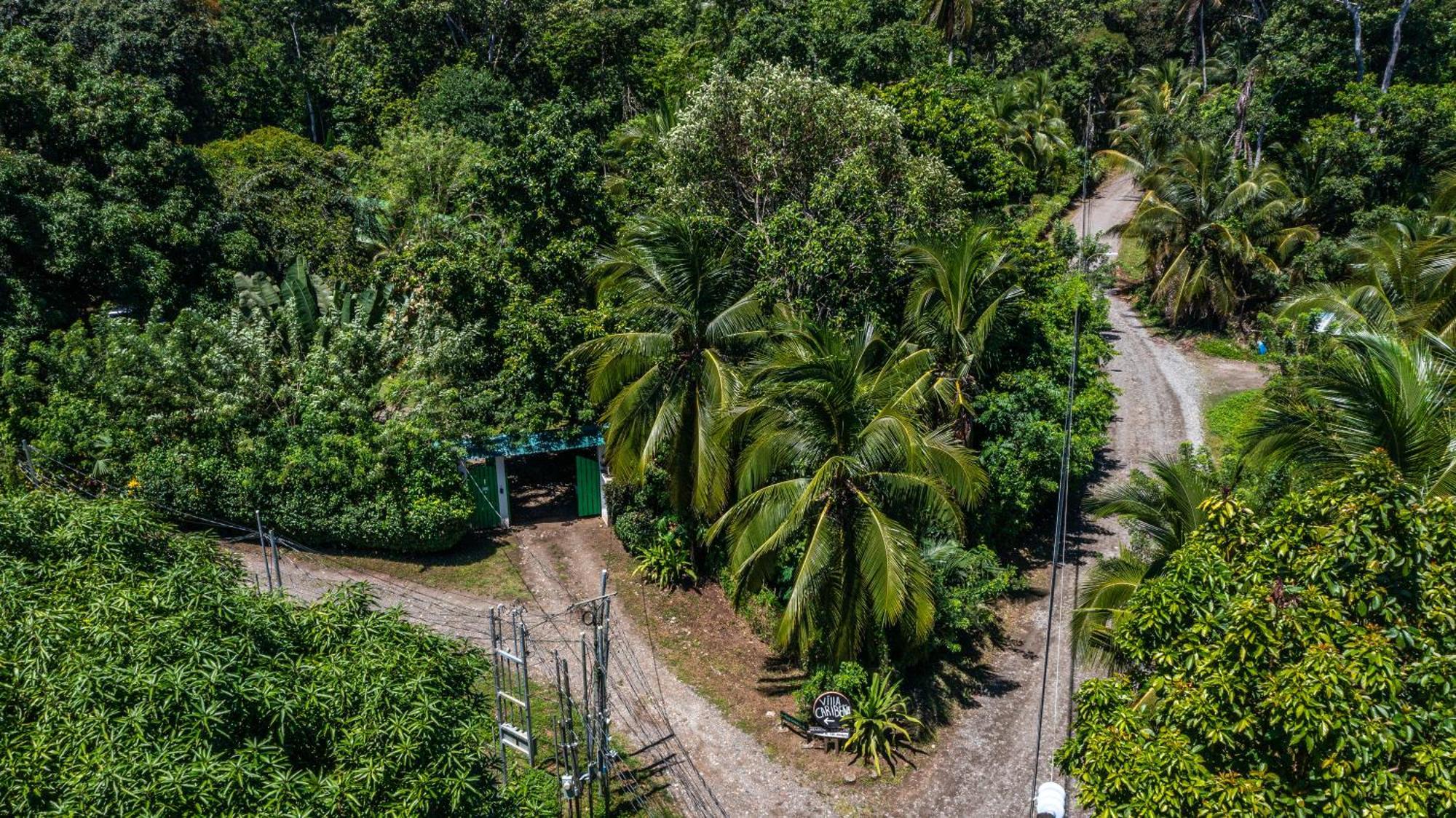 Playa Grande Lodge & Tree House كويتا المظهر الخارجي الصورة