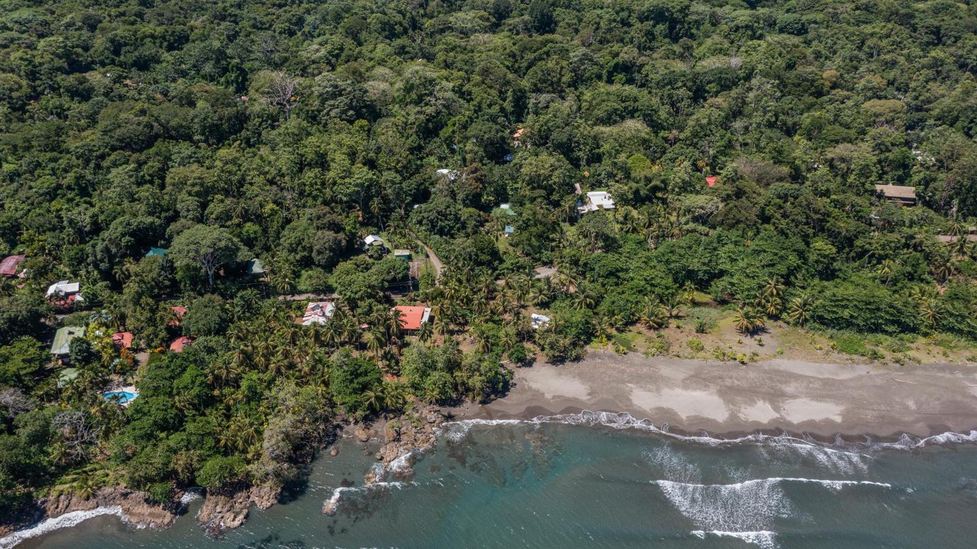 Playa Grande Lodge & Tree House كويتا المظهر الخارجي الصورة
