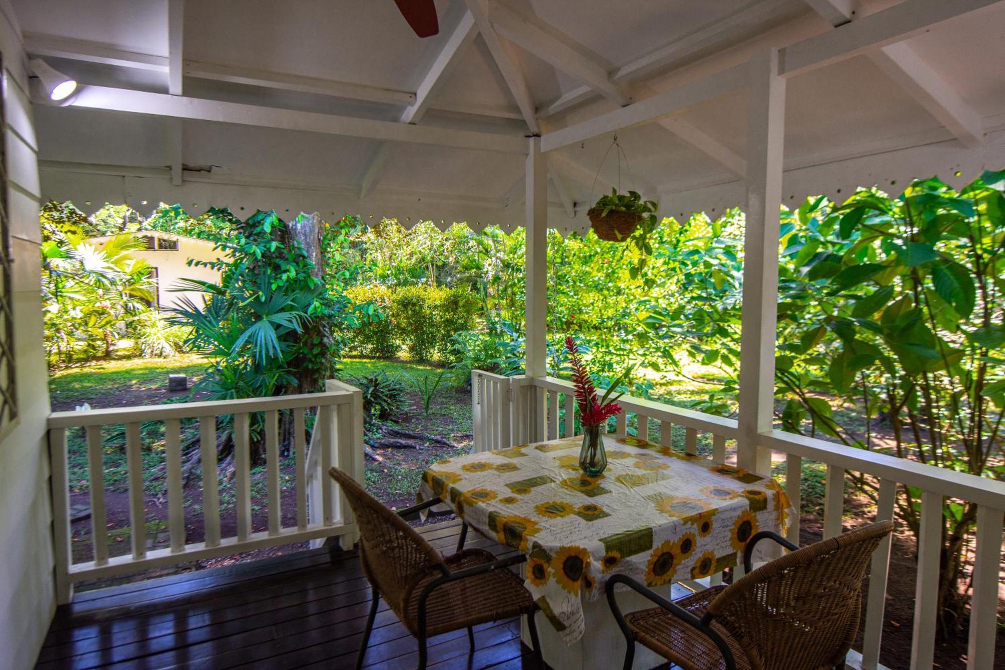 Playa Grande Lodge & Tree House كويتا المظهر الخارجي الصورة