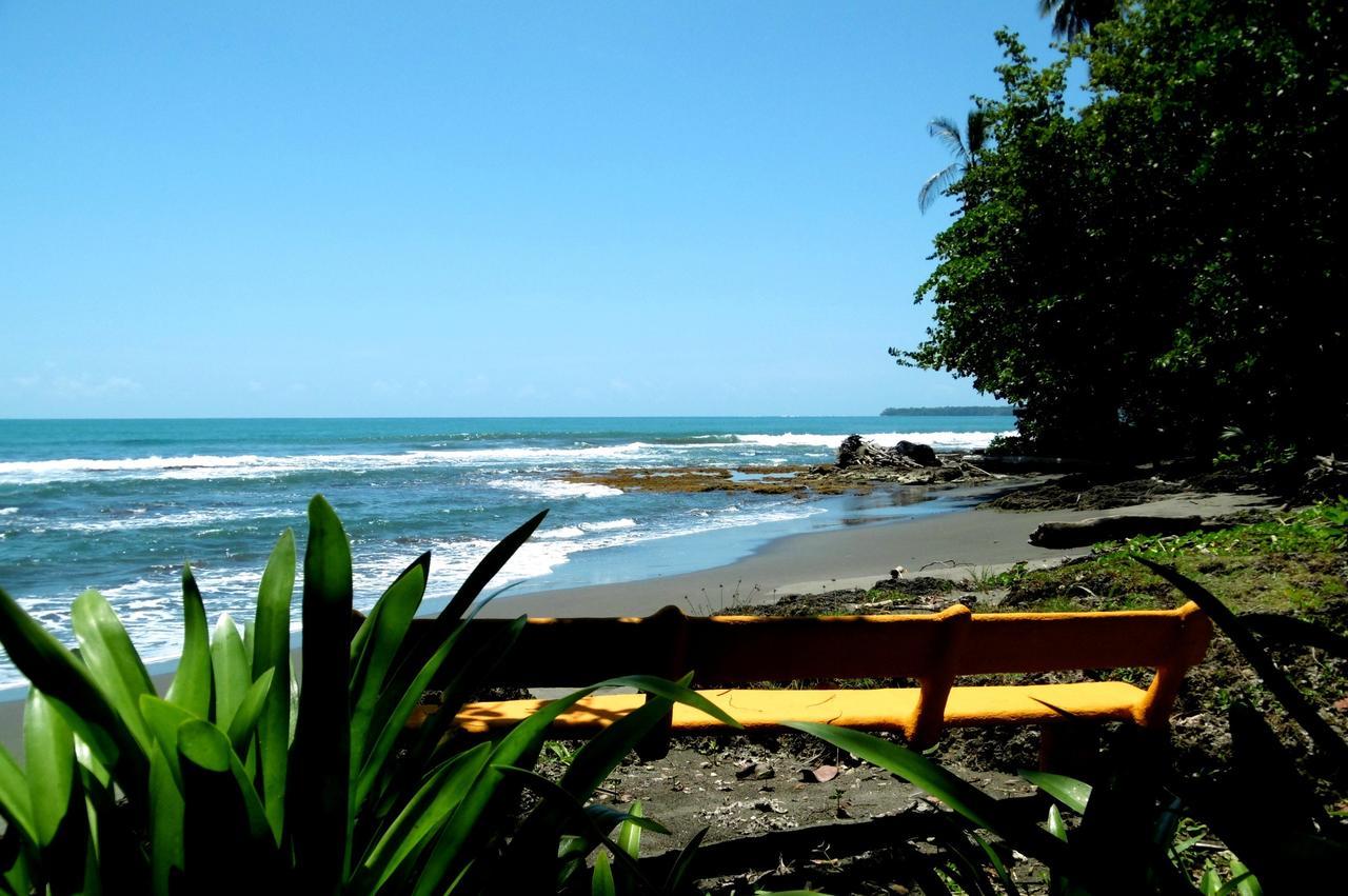 Playa Grande Lodge & Tree House كويتا المظهر الخارجي الصورة