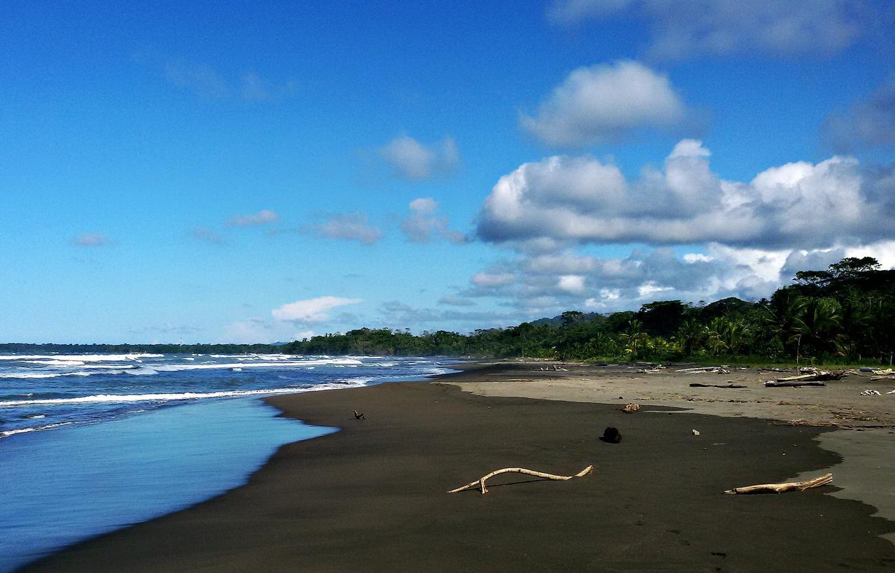 Playa Grande Lodge & Tree House كويتا المظهر الخارجي الصورة